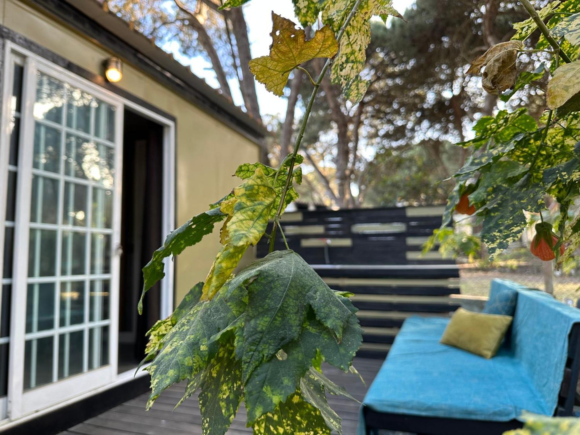 Eco-Friendly Beach House Sesimbra Dış mekan fotoğraf