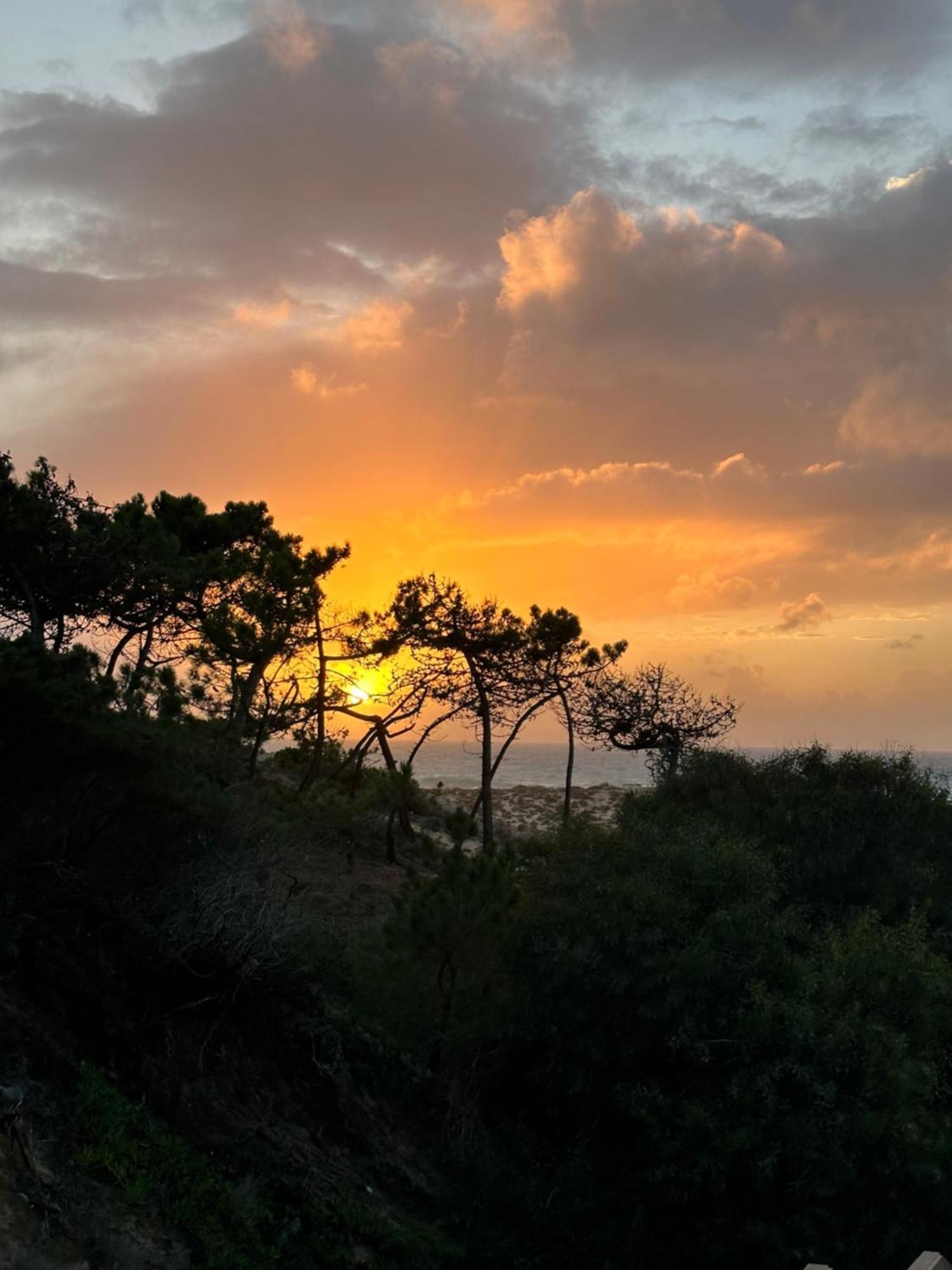 Eco-Friendly Beach House Sesimbra Dış mekan fotoğraf