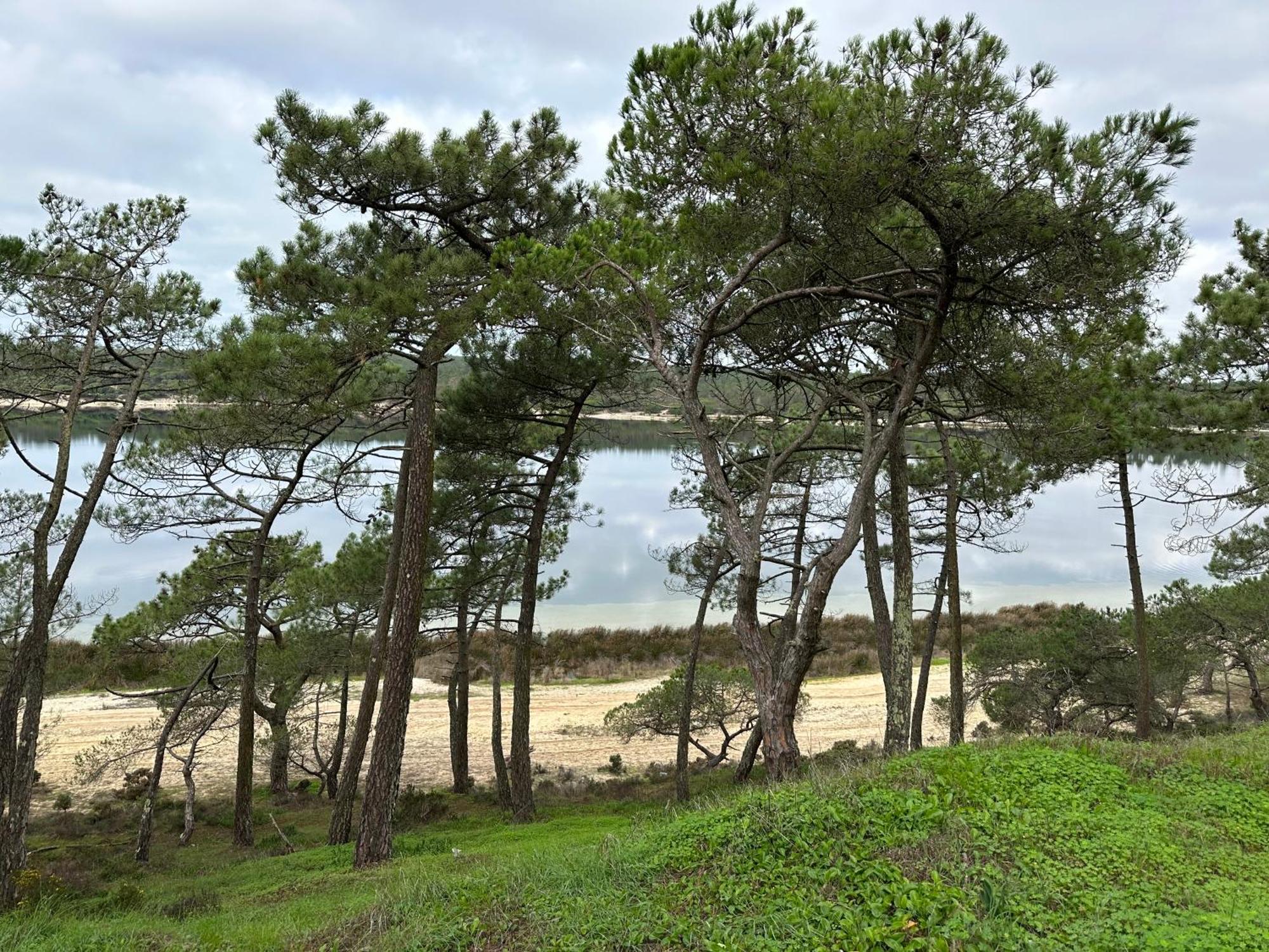 Eco-Friendly Beach House Sesimbra Dış mekan fotoğraf